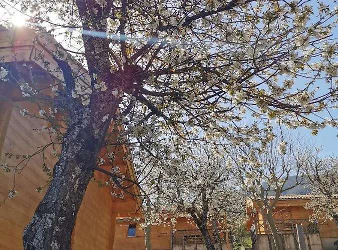 Le Pré Martin, De * Annot