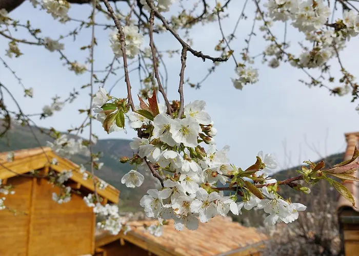 Le Pré Martin, De Annot