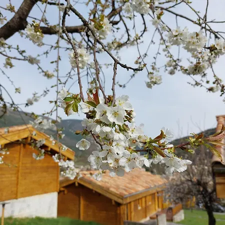 Le Pre Martin, Village De Chalets Annot